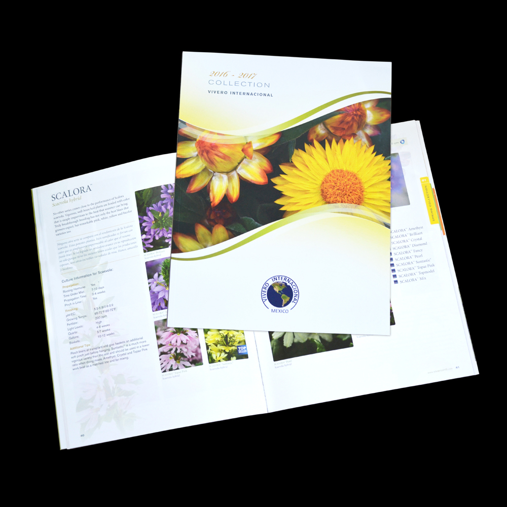 cover of the catalog