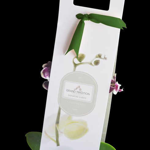 orchid custom packaging