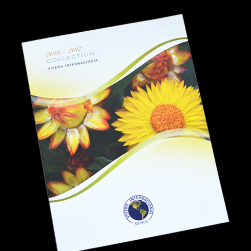 Vivero catalog cover